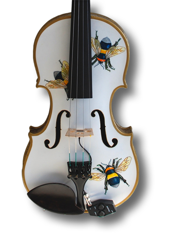 "Flight of the Bumble Bee" Violin